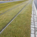 Na tramvajové trati v Bělohorské ulici se testují nízkoúdržbové travní koberce
